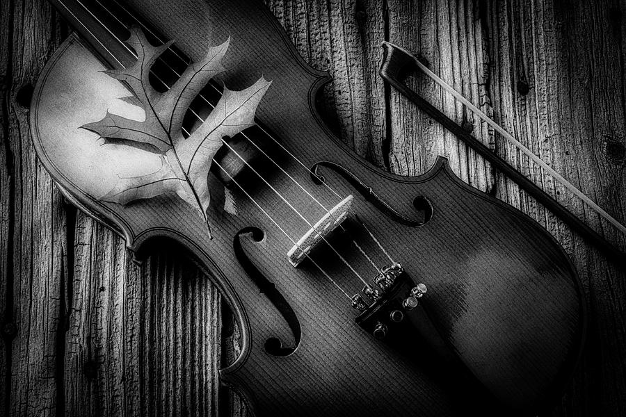 Autumn Leaf On Violin Black And White Photograph by Garry Gay