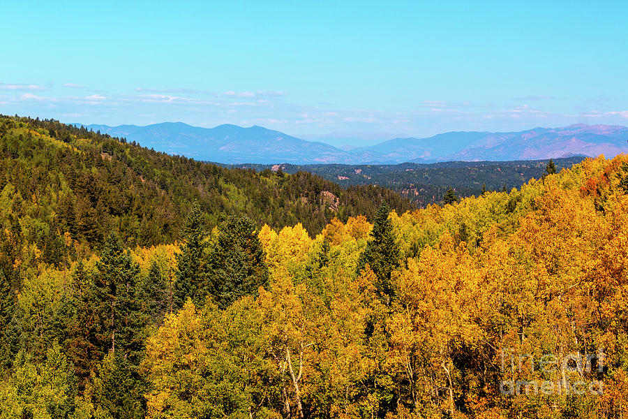 Autumn Leaves and the Sangre de Cristo Photograph by Steven Krull