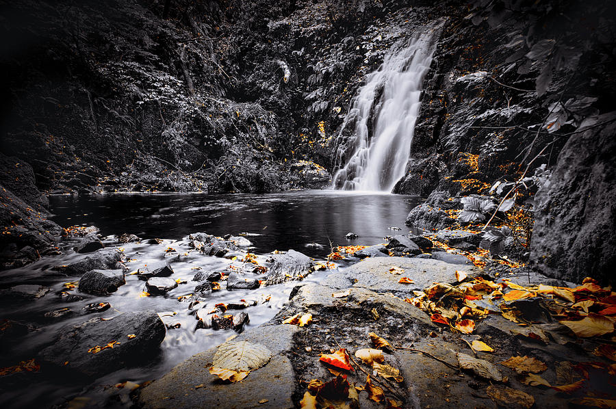 Autumn Leaves at Glenoe by Alan Campbell Autumn Leaves at Glenoe by Alan Campbell