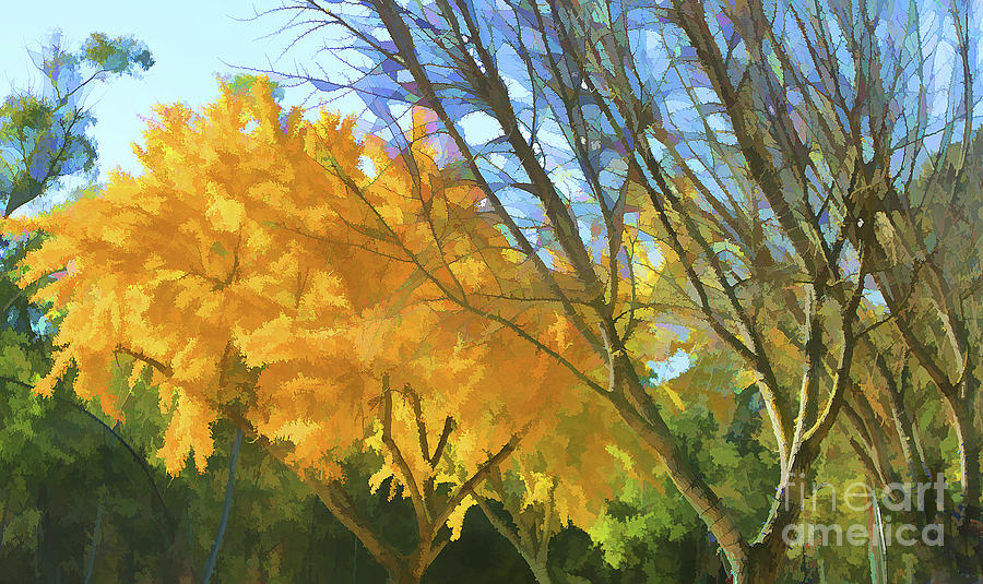 Autumn Leaves Begin To Fall  Digital Art by Chuck Kuhn