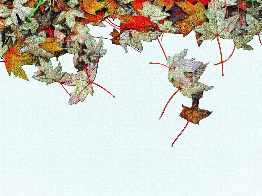 Autumn Leaves Digital Art by Diana Rajala