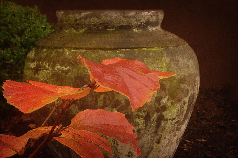 Autumn Leaves - Garden Urn Photograph by Nikolyn McDonald