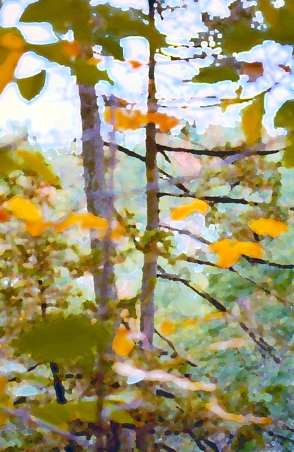 Autumn Leaves Digital Art by Geoff Jewett