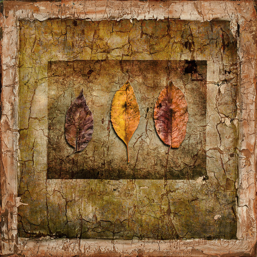 Landscape Mixed Media - Autumn Leaves I by Lightboxjournal