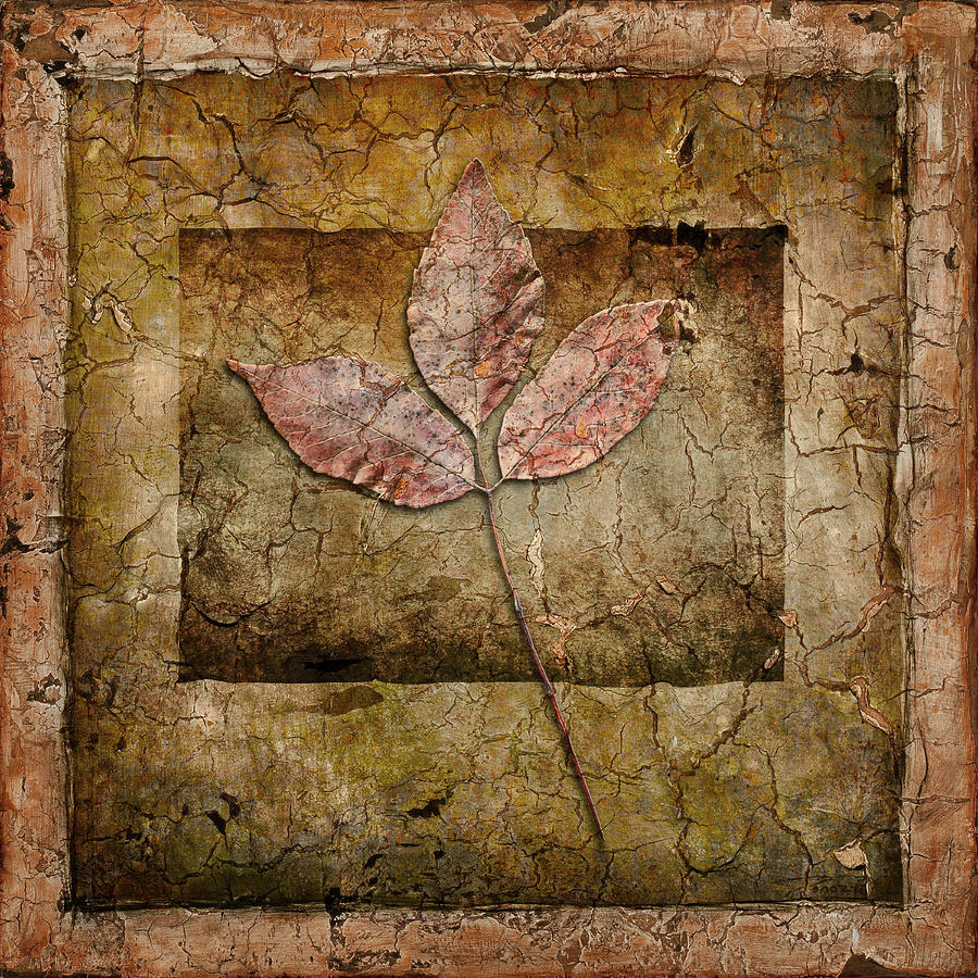 Leaves Mixed Media - Autumn Leaves II by Lightboxjournal