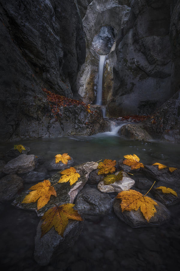 Autumn Leaves In The Gorge... Photograph by Nina Pauli