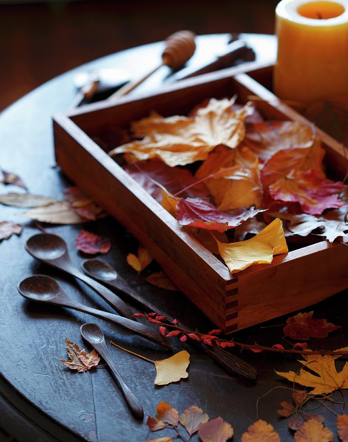 Autumn Leaves In Wooden Box With Wooden Spoons Photograph by Katharine Pollak