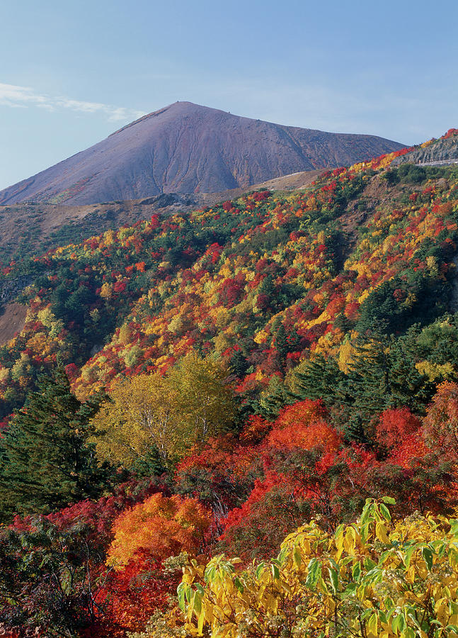 Autumn Leaves Of Mount Azuma-kofuji Photograph by Mixa