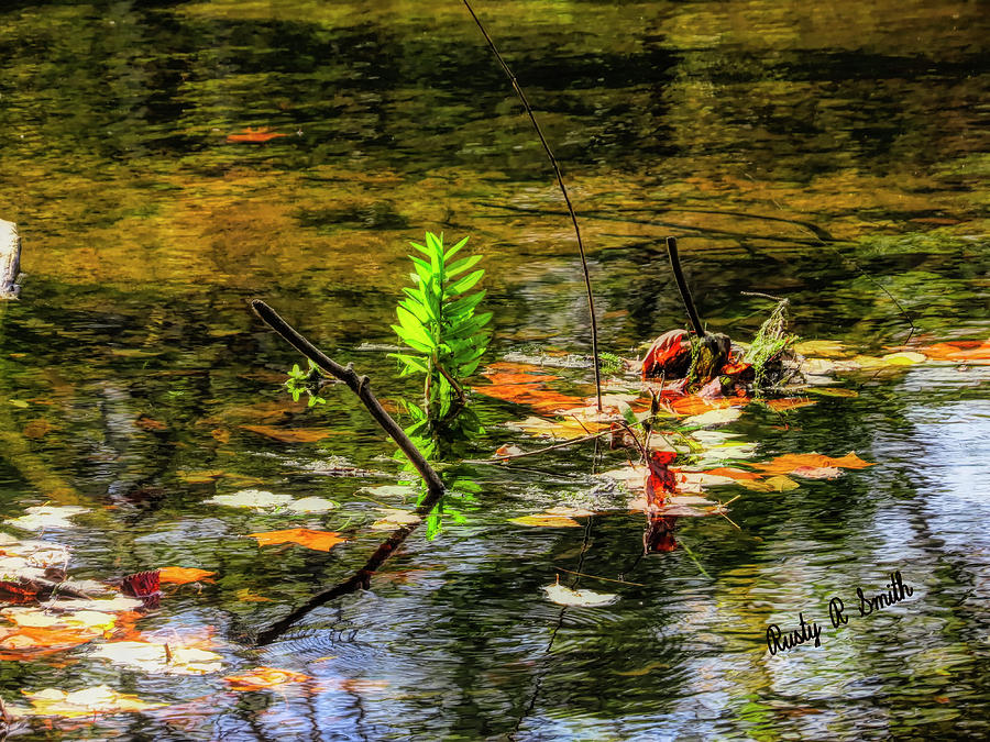 Autumn leaves on the water. by Rusty R Smith Autumn leaves on the water. by Rusty R Smith