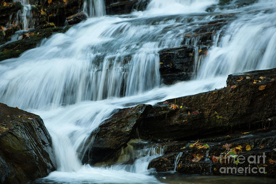 Autumn Leaves Water Fall Photograph