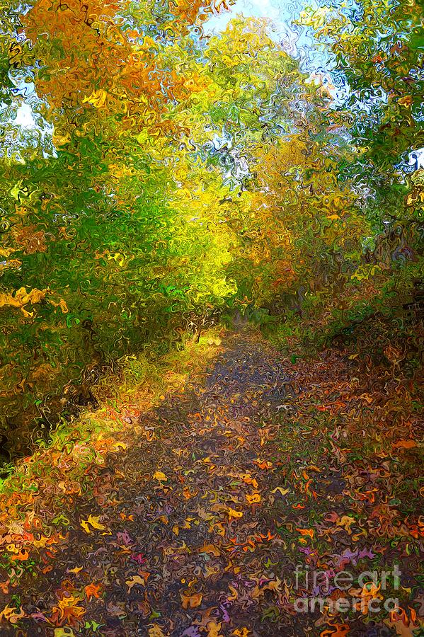 Autumn Light Trail in Van Gogh Style by Christopher Shellhammer Autumn Light Trail in Van Gogh Style by Christopher Shellhammer