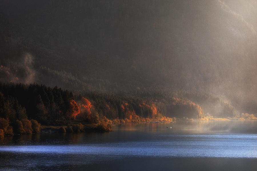 Autumn Light Photograph by Uschi Hermann