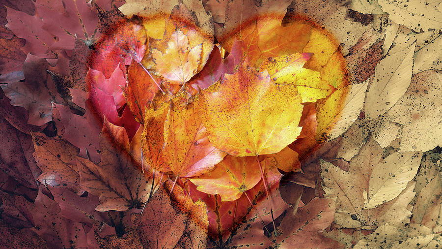 Autumn Love Digital Art by Jason Fink