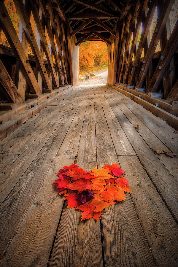 Autumn Love Photograph by Robert Clifford