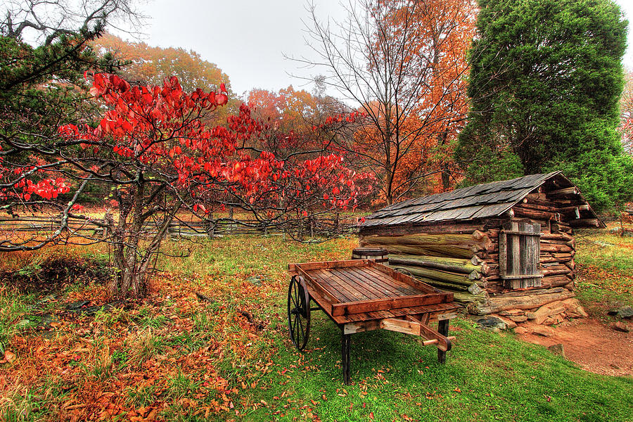 Autumn Memories Photograph by Dan Carmichael