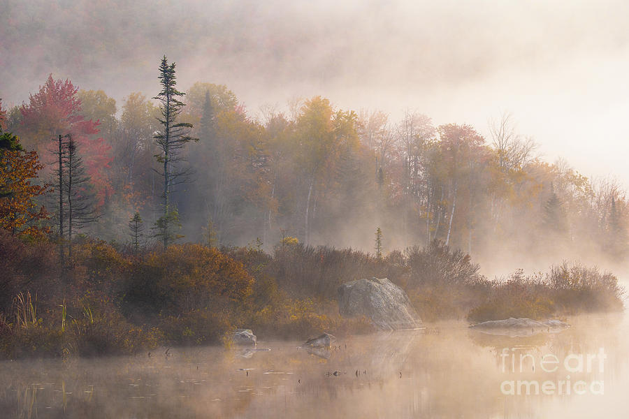 Autumn Mist Photograph by Benjamin Williamson