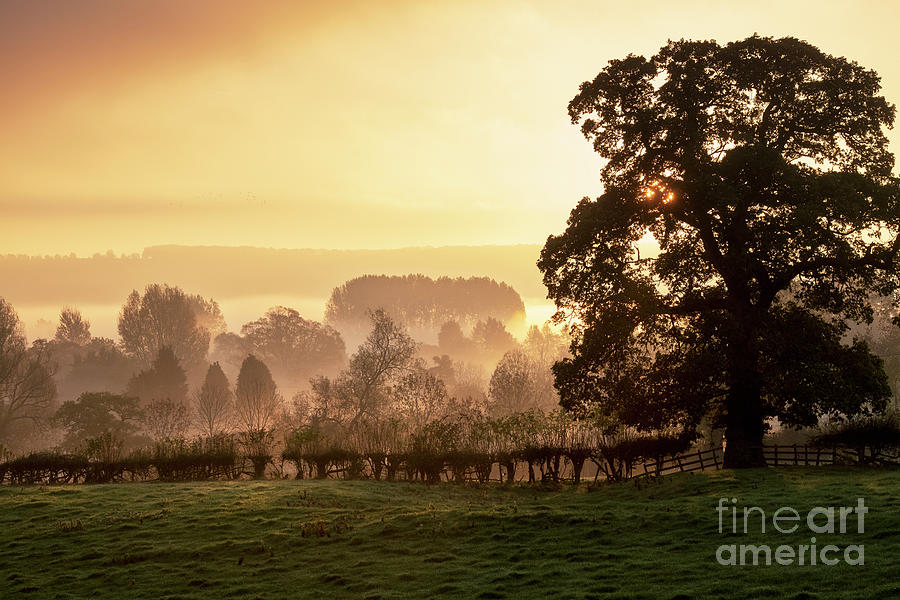 Autumn Mists at Sunrise near Lower Slaughter Photograph by Tim Gainey