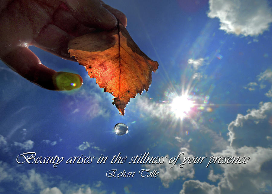 Autumn Moment Quote Photograph by Nancy Griswold