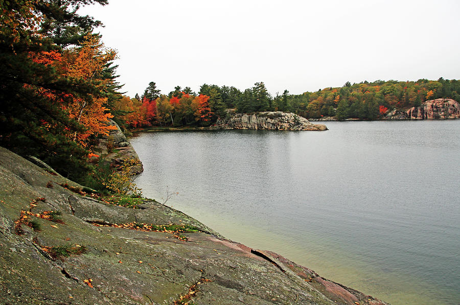 Autumn Mood At George Lake Photograph