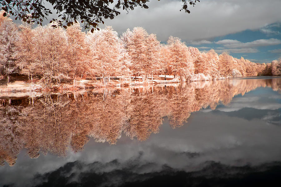 Autumn Mood At The Pond Photograph by Klaus Bauer