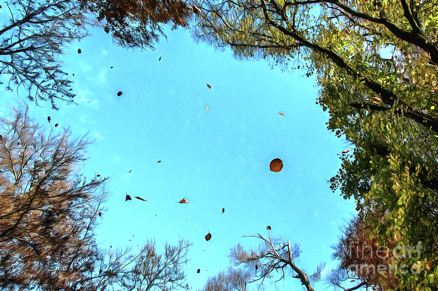 Autumn mood by Odon Czintos Autumn mood by Odon Czintos