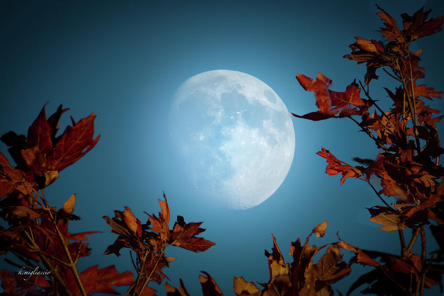 October Gathering 2023 Autumn-moon-karen-migliaccio