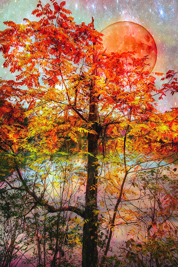 Autumn Moon Watercolors Photograph by Debra and Dave Vanderlaan