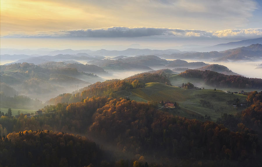Autumn Morning Photograph by Ales Komovec
