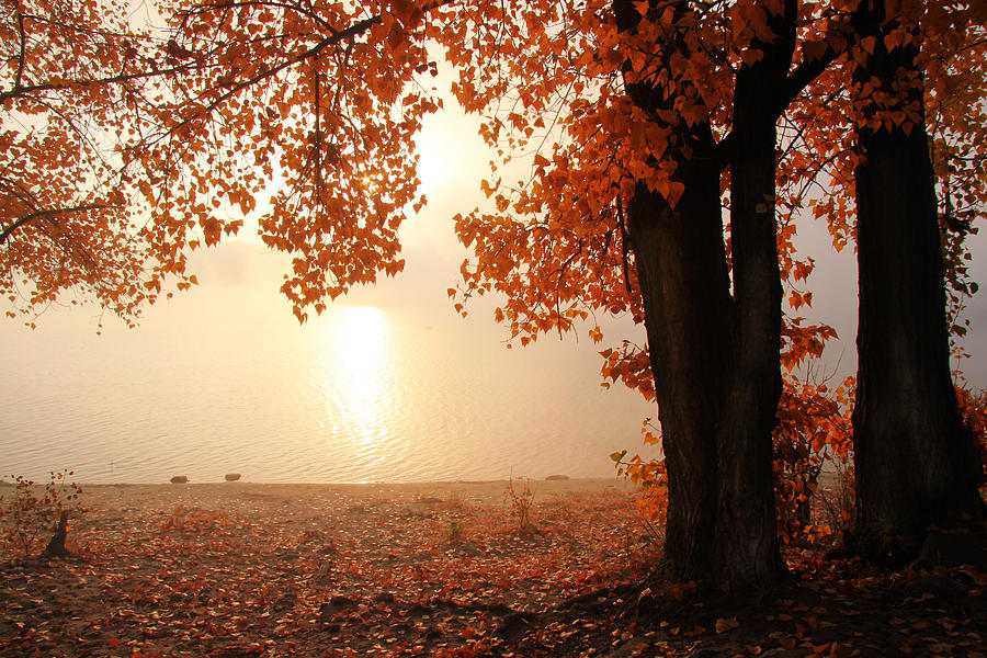 Autumn Morning Photograph by Alexander Kiyashko