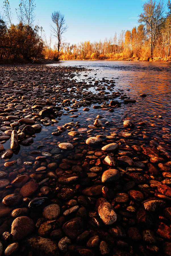 Autumn Morning Along Boise River In Boise Idaho Usa Photograph By