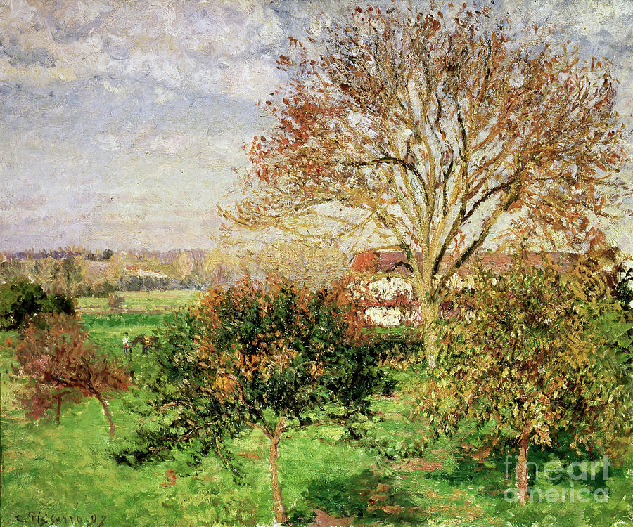Autumn Morning At Èragny, 1897. Artist Drawing by Heritage Images