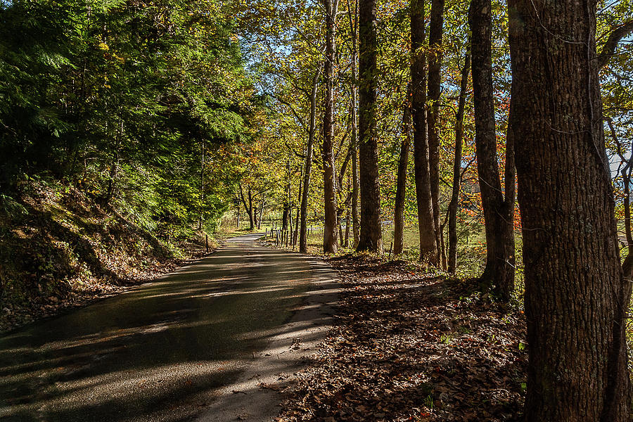 Autumn Morning Drive by Douglas Tate Autumn Morning Drive by Douglas Tate