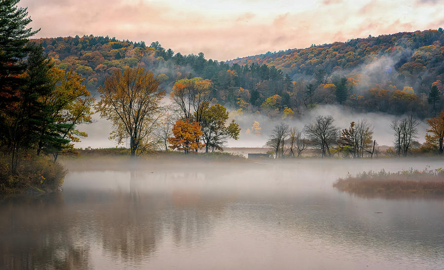 Autumn Morning Fog Photograph by Tom Singleton