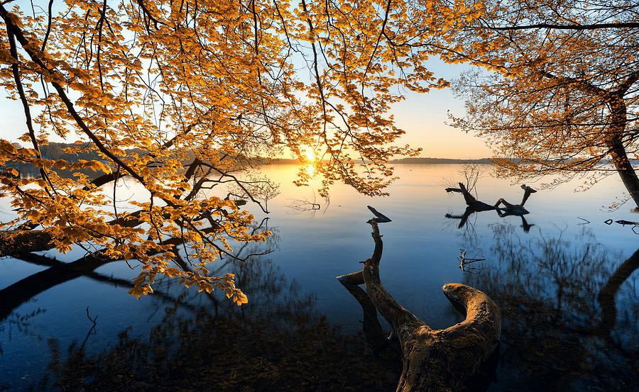 Autumn Morning Photograph by Keller