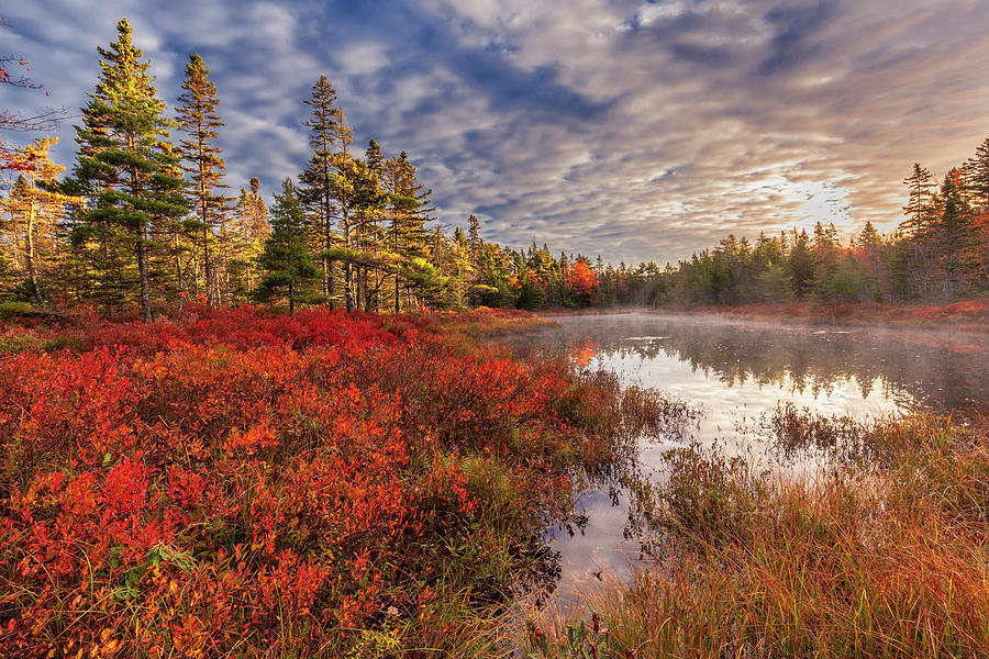 Autumn Morning Mist On Frasers Pond Photograph by Irwin Barrett