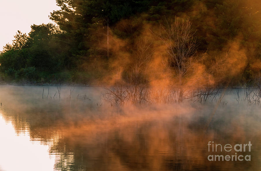 Autumn Morning Mist Photograph by Sandra Js