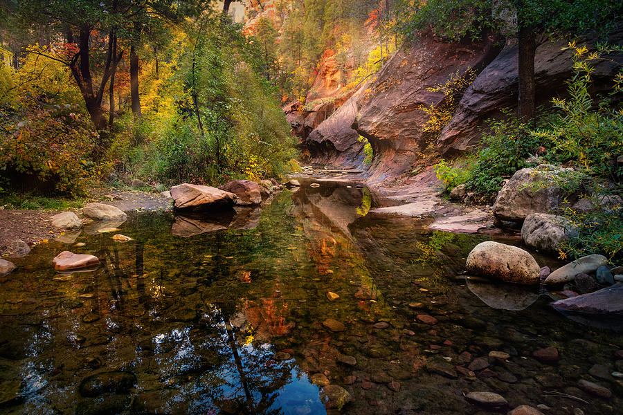 Autumn Morning On The Creek  Photograph by Saija Lehtonen