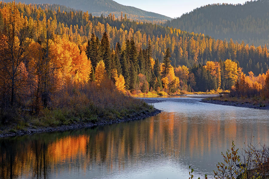 Autumn Morning on the Middle Fork Photograph by Jack Bell