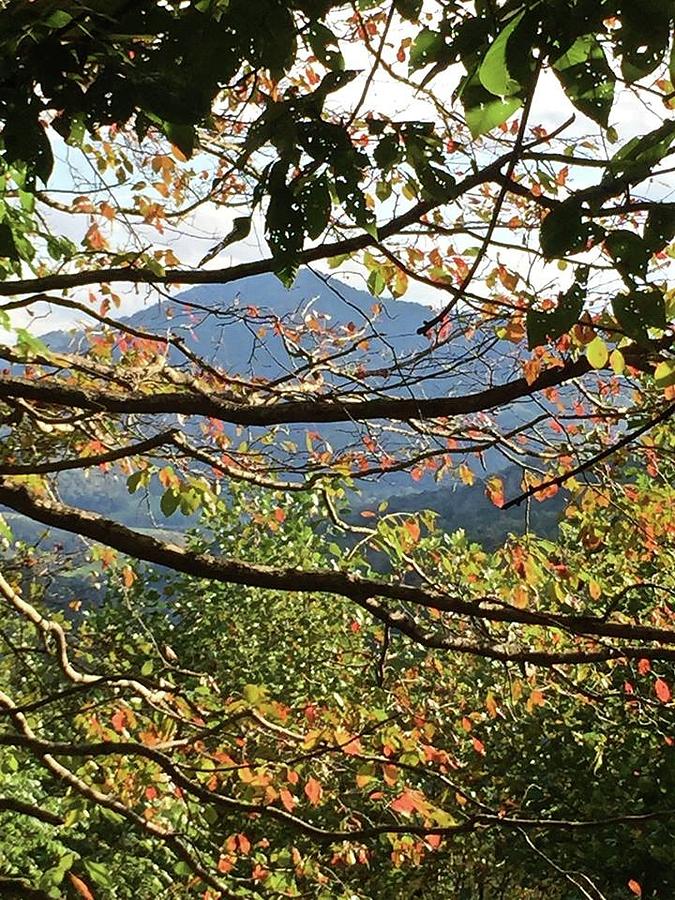 Autumn Mountain Photograph by Kathy Ozzard Chism