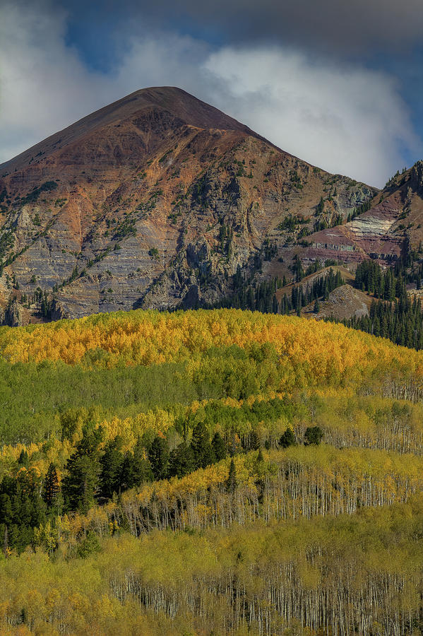 Fall Photograph - Autumn Mountain Near Crested Butte by Bill Sherrell