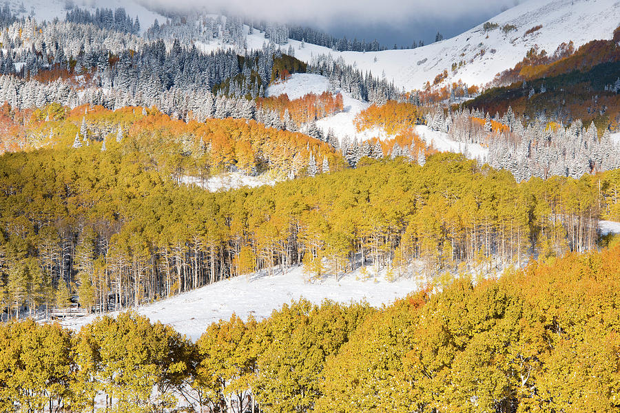 Autumn Mountain Side Photograph by Leland D Howard