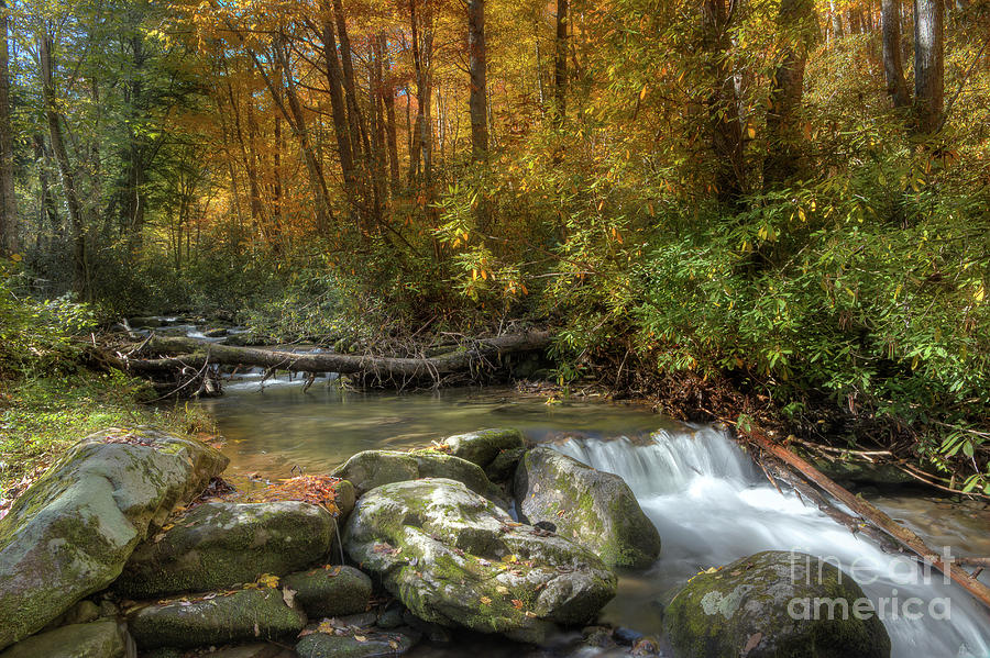 Autumn Mountain Stream Photograph by Mike Eingle