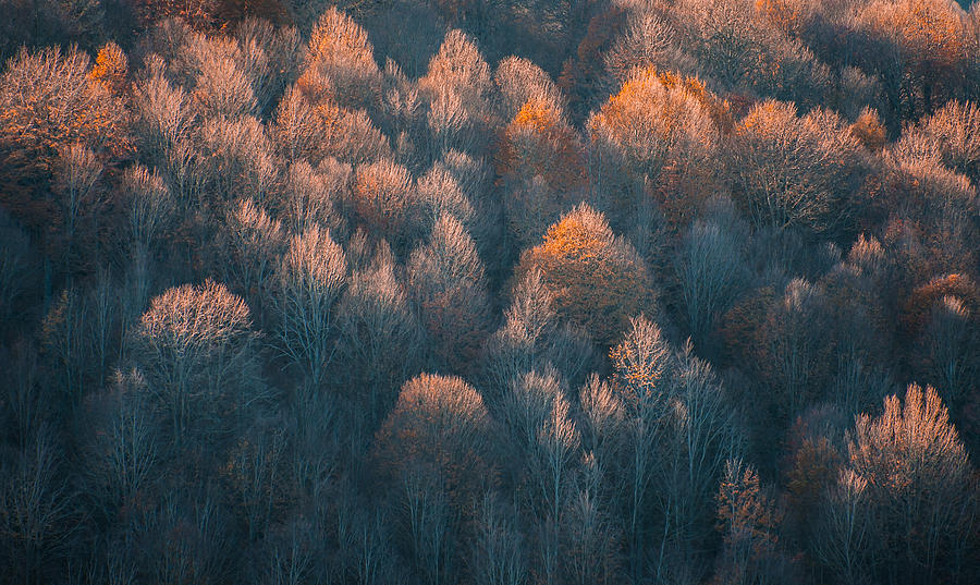 Autumn Photograph by Muhammet Sinan Kkc