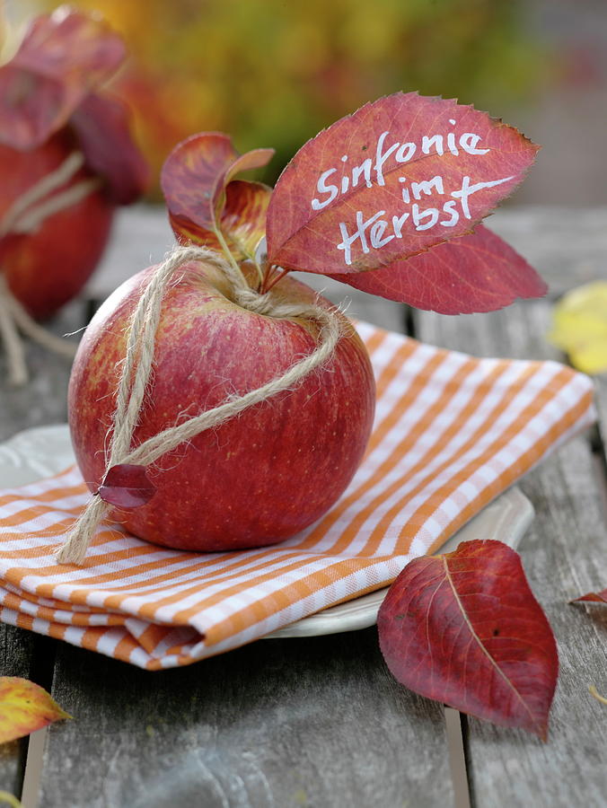 Autumn Napkin Deco, Apple malus With Corded Heart Photograph by Friedrich Strauss
