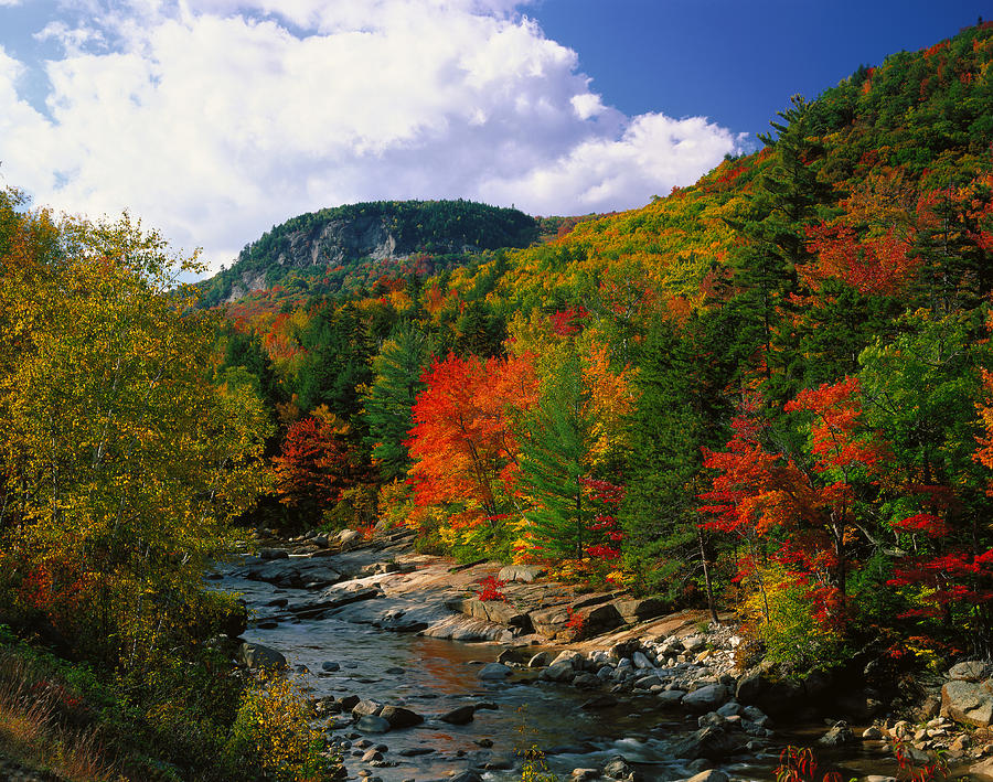 Autumn Nature Scene, New Hampshire Digital Art by Massimo Ripani