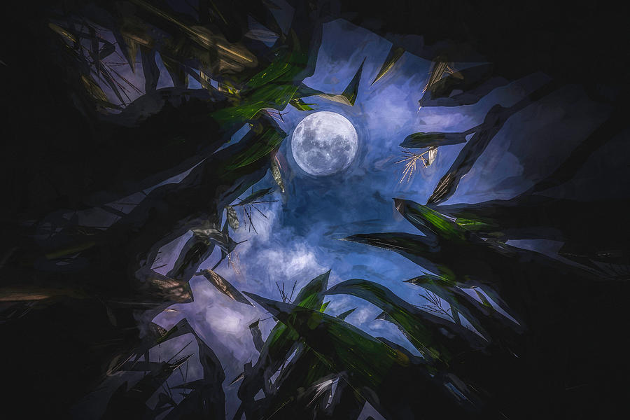 Moon Photograph - Autumn Oblivion 1 by Jim Love Moon Photograph - Autumn Oblivion 1 by Jim Love