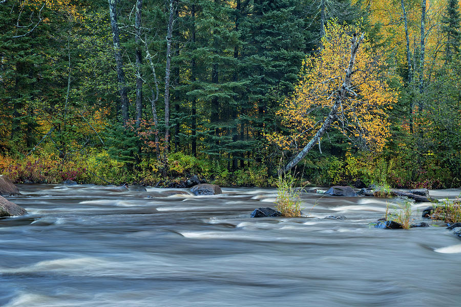 Autumn On Baptism River Photograph