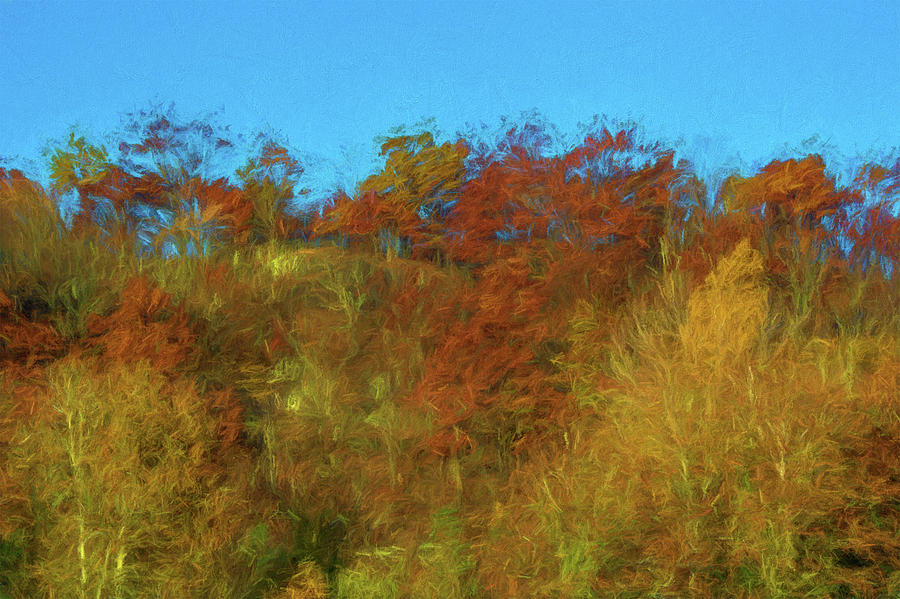 Autumn on Garret Mountain Photograph by Alan Goldberg