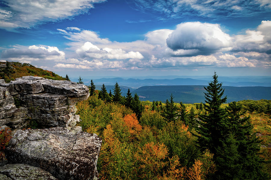 Autumn on Mountain Photograph by C Renee Martin - Fine Art America