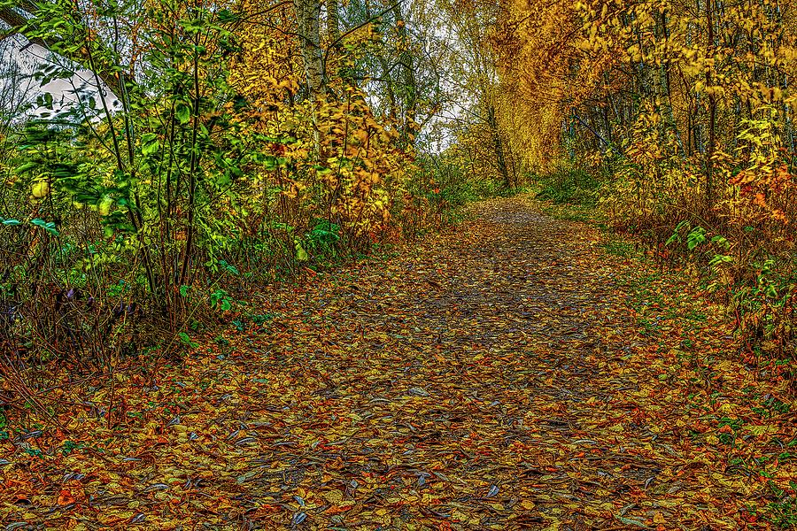 Autumn on path #j2 Photograph by Leif Sohlman